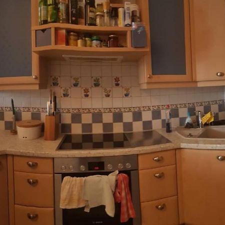 Apartment Tauernblick ラムサウ・アム・ダッハシュタイン エクステリア 写真