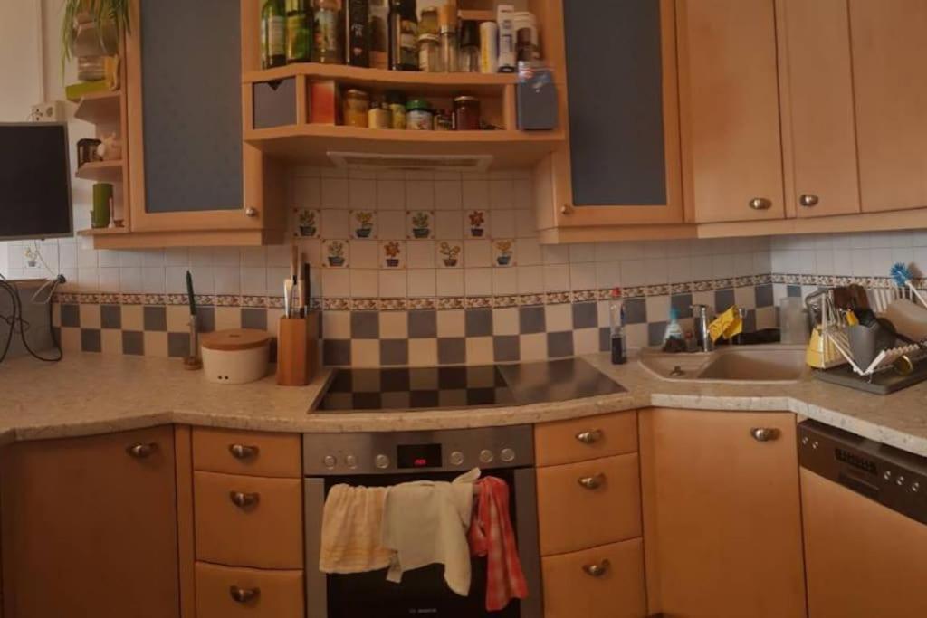 Apartment Tauernblick ラムサウ・アム・ダッハシュタイン エクステリア 写真