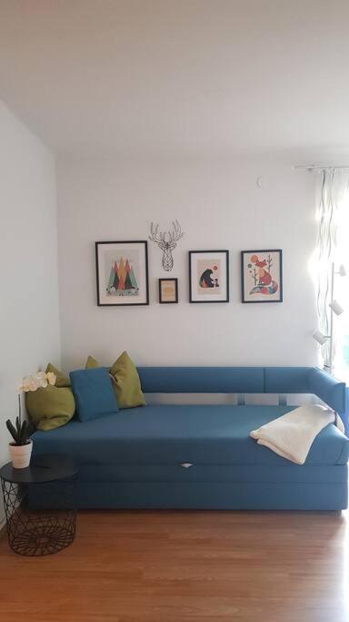 Apartment Tauernblick ラムサウ・アム・ダッハシュタイン エクステリア 写真