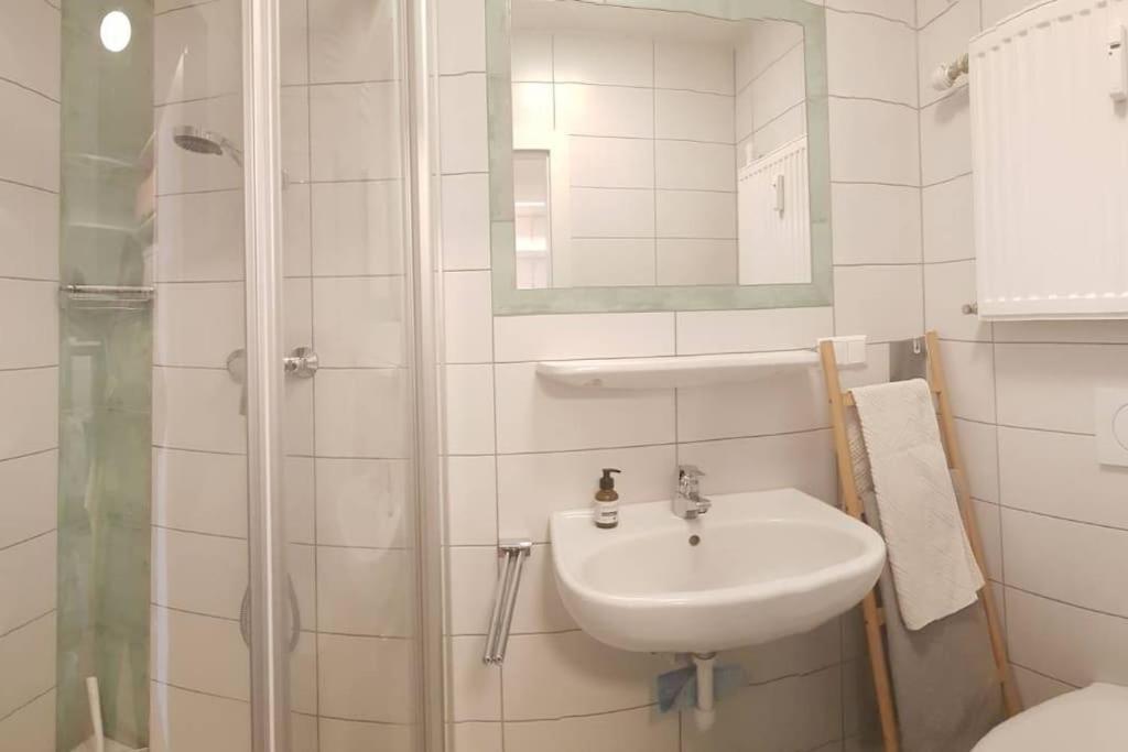 Apartment Tauernblick ラムサウ・アム・ダッハシュタイン エクステリア 写真